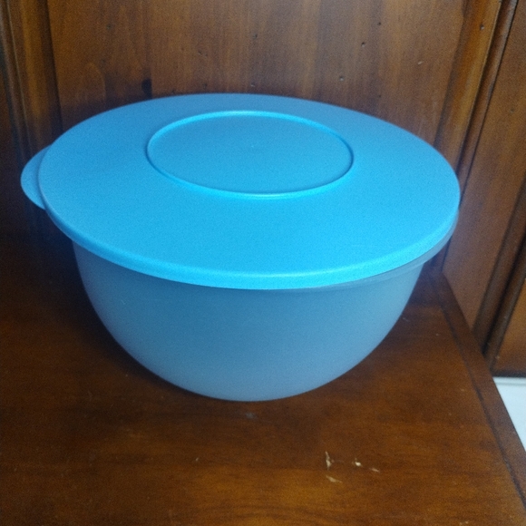 Large Tupperware Bowl With Lidnull
